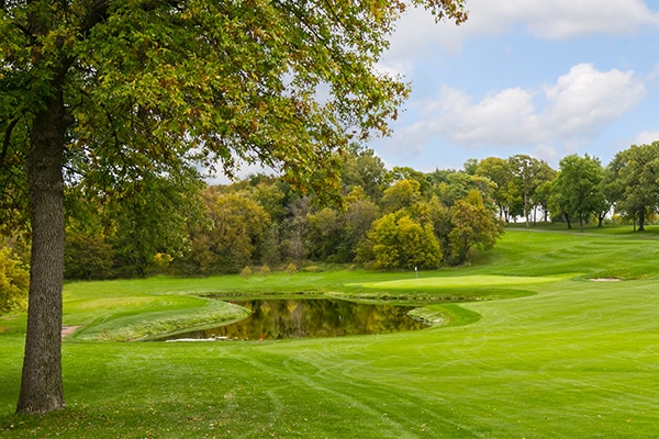 things to do in waconia mn: golf