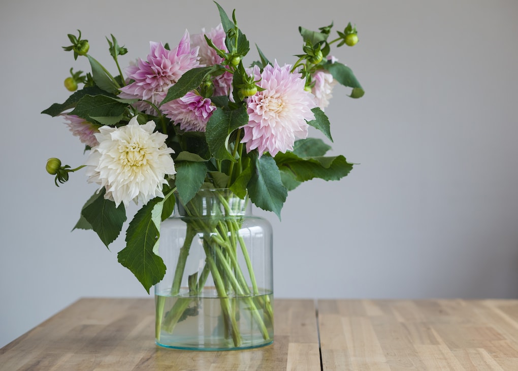 Bouquet of dahlias in a glass vase on a wooden table indoors.