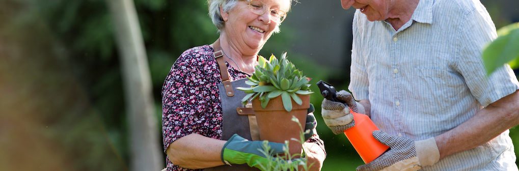 easy to care for plants for seniors