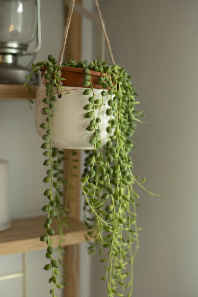 string of pearls