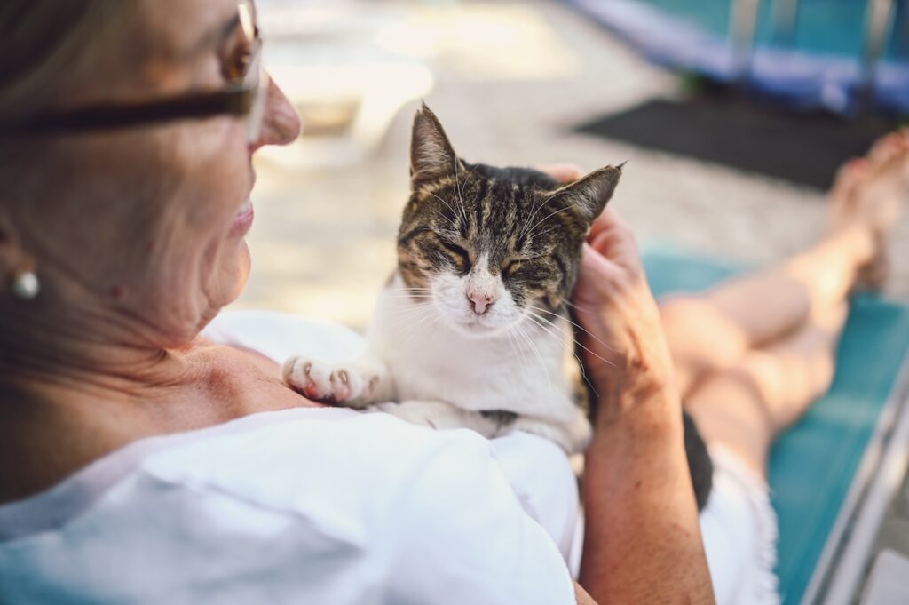 smiling senior woman in glasses relaxing with a cat