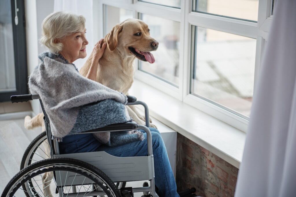 Woman in wheel chair petting dog looking out the window