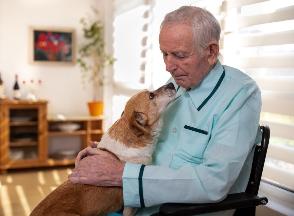Senior man with his dog sitting in chair beside window